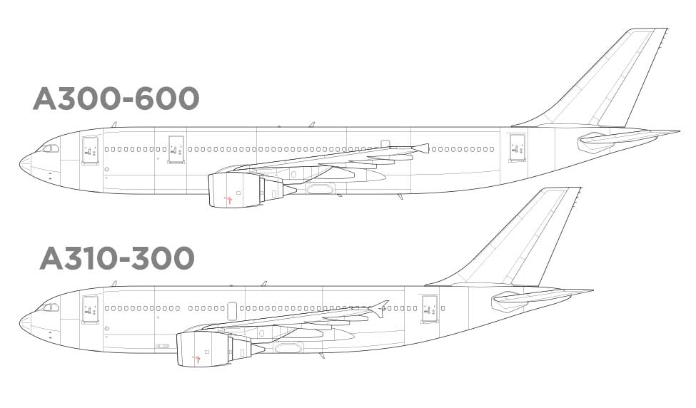 A300 vs A310 visual differences